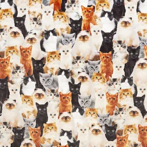 Cuddle® Prints - Here Kitty Beige Digitally Printed Minky Yardage