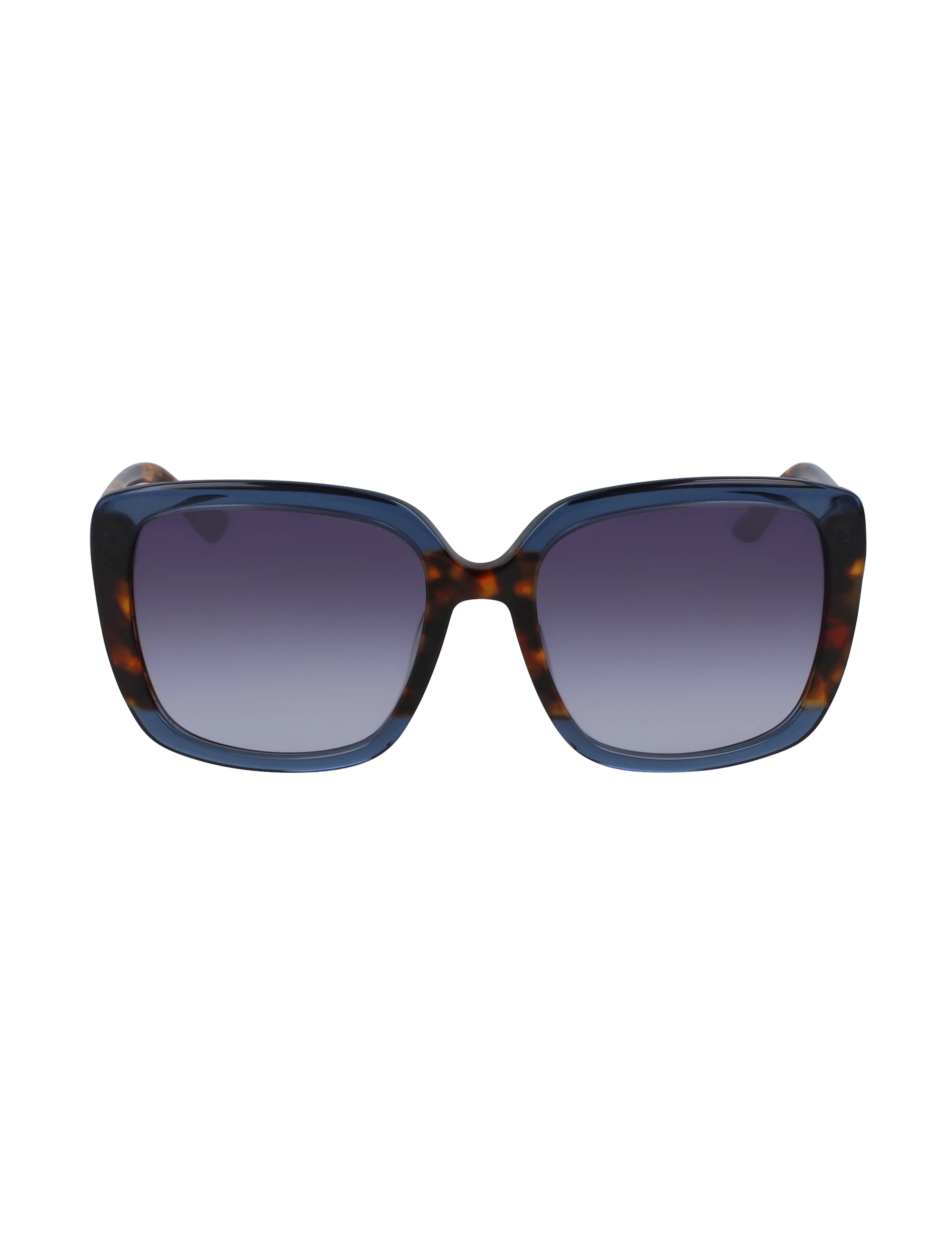 Oversized Frame Sunglasses